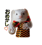 可愛いフェレ♡（個別スタンプ：12）