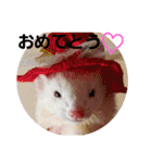 可愛いフェレ♡（個別スタンプ：31）