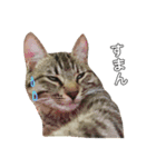 がむちゃんとぞんちゃんはなかよし（個別スタンプ：4）