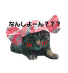 がむちゃんとぞんちゃんはなかよし（個別スタンプ：10）