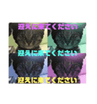 がむちゃんとぞんちゃんはなかよし（個別スタンプ：13）