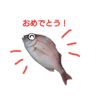 うおっちゃ2（個別スタンプ：2）