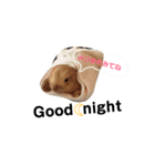 てぃーくんスタンプ2（個別スタンプ：12）