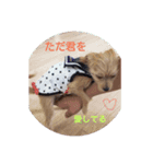 ひなちゃんだよ。（個別スタンプ：7）