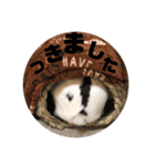 おマメの日常（個別スタンプ：11）
