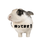 おマメの日常（個別スタンプ：13）