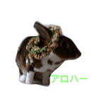 ラルスタβ（個別スタンプ：3）
