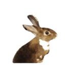 ラルスタβ（個別スタンプ：4）