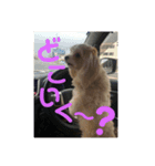 Loveとゆかいな仲間たち（個別スタンプ：2）