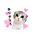 ねこの「ゆにちゃん」（個別スタンプ：1）