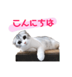 ねこの「ゆにちゃん」（個別スタンプ：2）