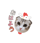 ねこの「ゆにちゃん」（個別スタンプ：3）