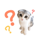 ねこの「ゆにちゃん」（個別スタンプ：27）