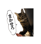 いつもかわいいひなたくん（個別スタンプ：8）
