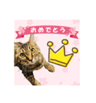 いつもかわいいひなたくん（個別スタンプ：9）