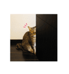 いつもかわいいひなたくん（個別スタンプ：14）
