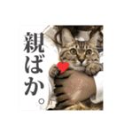 いつもかわいいひなたくん（個別スタンプ：15）