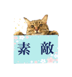 いつもかわいいひなたくん（個別スタンプ：22）