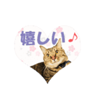 いつもかわいいひなたくん（個別スタンプ：24）