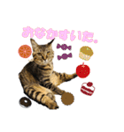 いつもかわいいひなたくん（個別スタンプ：33）