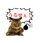 いつもかわいいひなたくん（個別スタンプ：35）