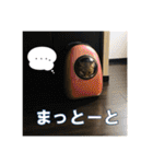 いつもかわいいひなたくん（個別スタンプ：38）