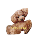 シェリ（個別スタンプ：6）