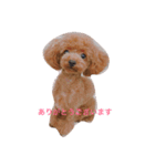 シェリ（個別スタンプ：11）