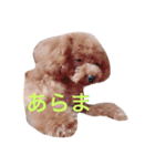 シェリ（個別スタンプ：13）