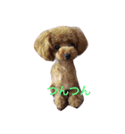 シェリ（個別スタンプ：14）