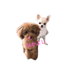 シェリ（個別スタンプ：15）