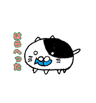 もちねこふぁみりー（個別スタンプ：24）