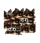 イギーとフール（個別スタンプ：5）