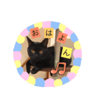 わが家の猫ばかり（個別スタンプ：1）
