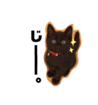 わが家の猫ばかり（個別スタンプ：14）