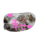 みかにゃんともにゃんすたんぷ2（個別スタンプ：8）