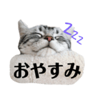 ちぬ時々つな（個別スタンプ：4）