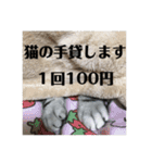 ちぬ時々つな（個別スタンプ：39）
