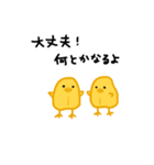 ひよこ豆っぴ(ほっこり編)（個別スタンプ：8）