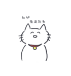 朗らかなねこ（個別スタンプ：8）