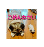 すじこ2（個別スタンプ：7）