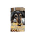 りくじぃの格言（個別スタンプ：3）