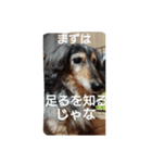 りくじぃの格言（個別スタンプ：9）