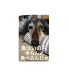 りくじぃの格言（個別スタンプ：13）