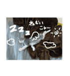 もにゅのスタンプ（個別スタンプ：4）