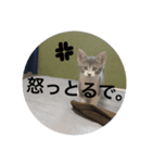 もにゅのスタンプ（個別スタンプ：6）