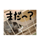 もにゅのスタンプ（個別スタンプ：8）