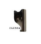 ポメラニアン(犬)（個別スタンプ：13）