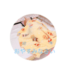 柴犬りゅうちゃん（個別スタンプ：3）