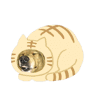 ゴールデンなペロ（個別スタンプ：23）